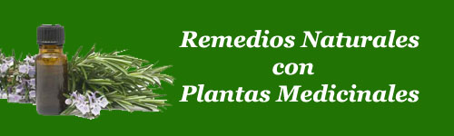 Remedios naturales con plantas medicinales